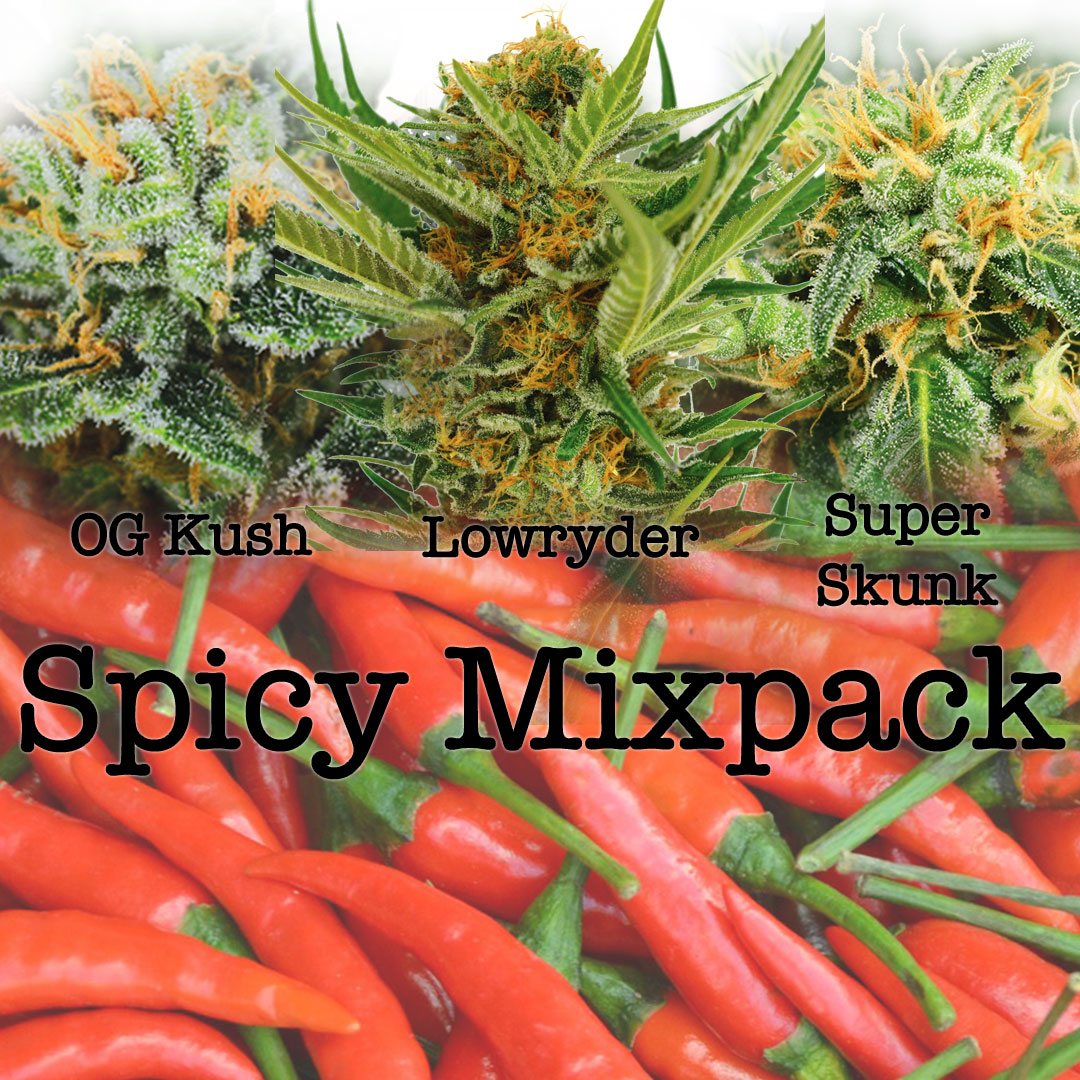 spicymarijuanaseedsmixpack Cannabis Seeds Canada