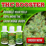 Cannabis Seeds Canada THC Booster Offer