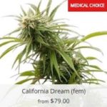 California Dream Seeds Canada