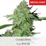 Crystal Marijuana Seeds