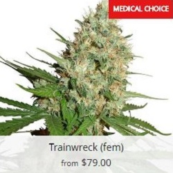 Trainwreck Marijuana Seeds