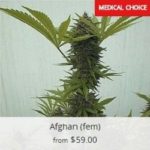 Afghan Marijuana Seeds