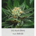 OG Kush Marijuana Seeds