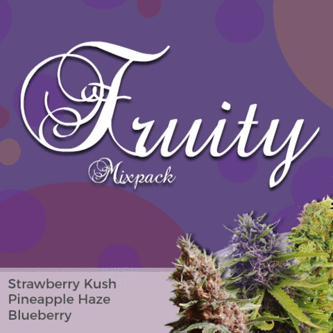 Fruity Mix Marijuana Seeds