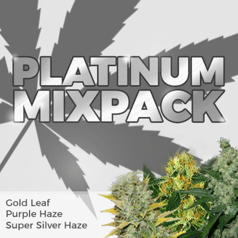 Platinum Mix Marijuana Seeds