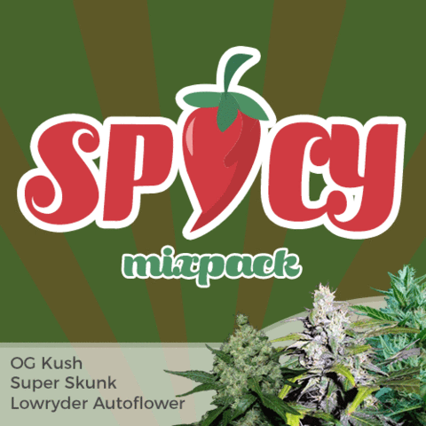 Buy Spicy Mix Pack Cannabis Seeds Here