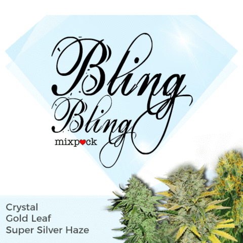 Bling Bling Mixpack Cannabis Seeds