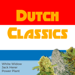 Dutch Classics Mix Pack Seeds