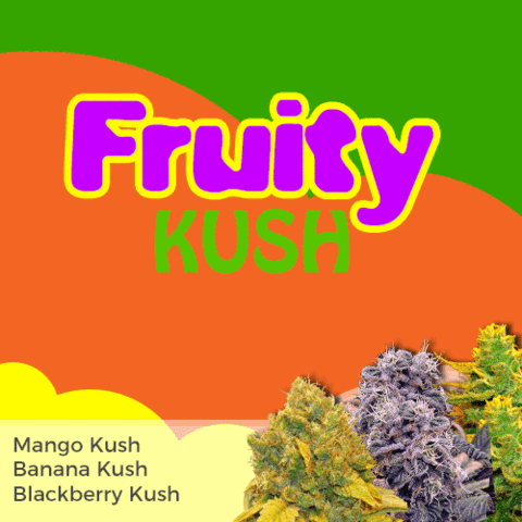 Fruity Kush Mixpack Cannabis Seeds