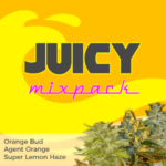 Juicy Mix Pack Seeds