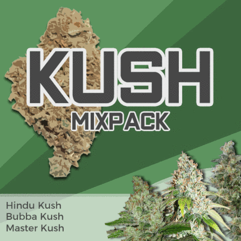 Kush Mixpack Cannabis Seeds