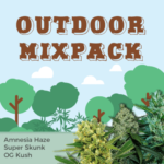 Outdoor Mix Pack Seeds