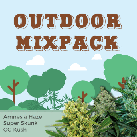 Outdoor Mixpack Cannabis Seeds