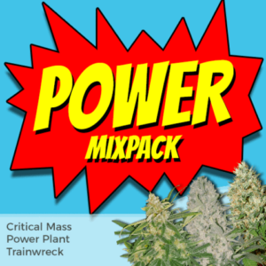 Power Mix Pack Seeds