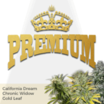 Premium Mix Pack Seeds