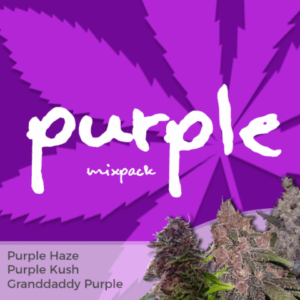 Purple Mix Pack Seeds