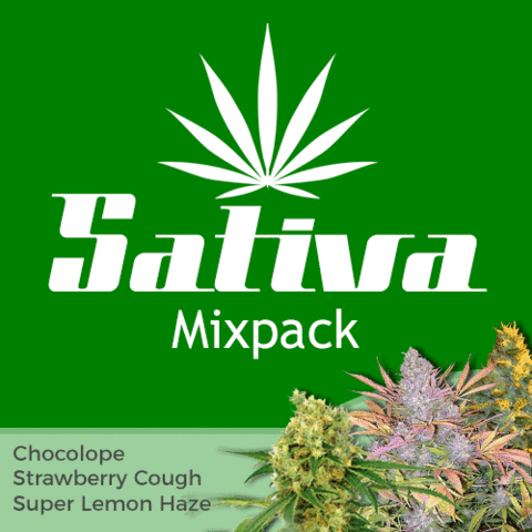 Sativa Mixpack Cannabis Seeds