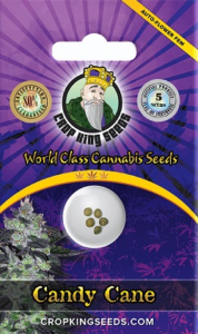 Buy Candy Cane Autoflowering Seeds