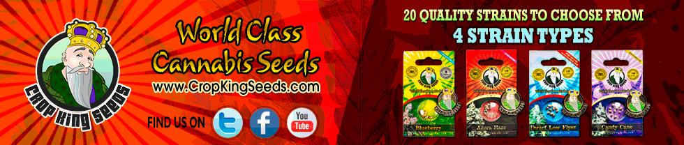 Buy Marijuana Seeds In Canada