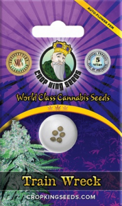 Buy Train Wreck Autoflowering Seeds