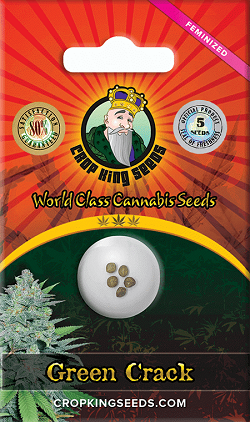 green crack cannabis seeds