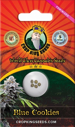 Buy Blue Cookies Cannabis Seeds