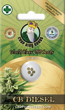 Buy CB Diesel Seeds