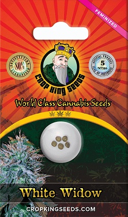 Buy White Widow Cannabis Seeds
