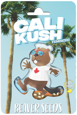 Beaver Seeds Cali Kush