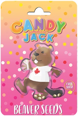 Beaver Seeds Candy Jack