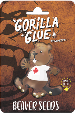 Beaver Seeds Gorilla Glue