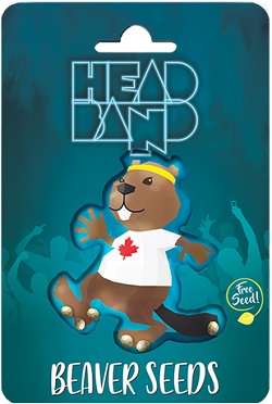Beaver Seeds Head Band