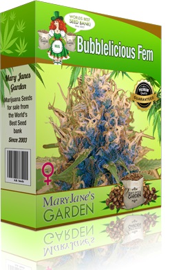 Mary Jane's Garden Bubblelicious Seeds