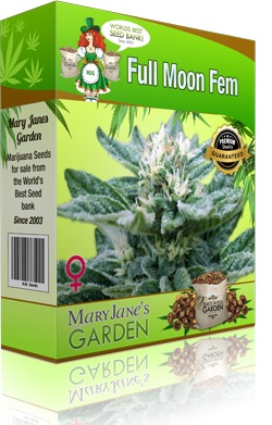 Mary Jane's Garden Full Moon Seeds