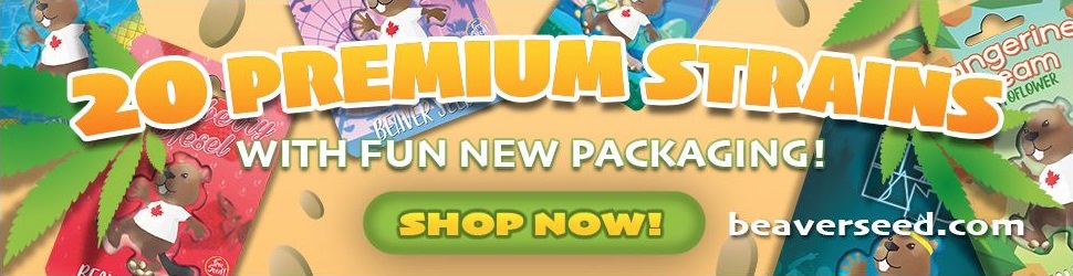 Purchase Beaver Seeds Online