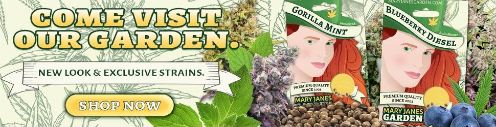 Purchase Mary Jane's Garden Seeds Online