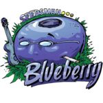 Blueberry Feminised
