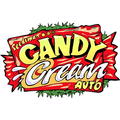 Candy Cream Auto