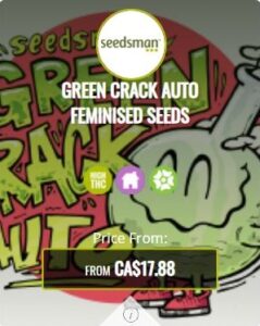 Green Crack Autoflowering Seeds For Sale