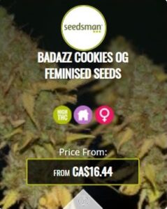 Badazz Cookies OG Feminized Seeds For Sale
