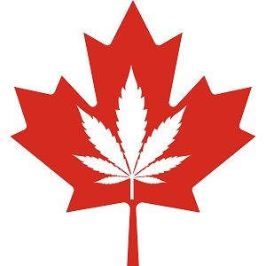 Canadian Marijuana Seeds