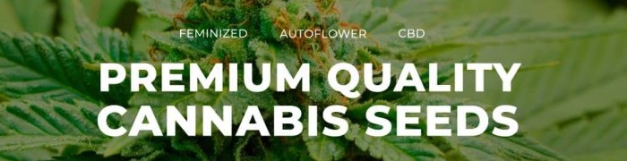 Premium Cannabis Seeds With Direct Shipping