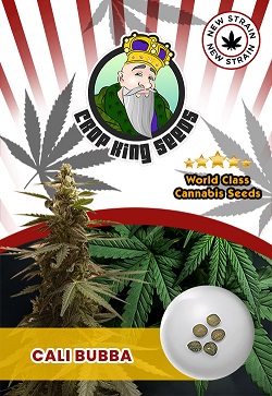 Cali Bubba Autoflowering Cannabis Seeds
